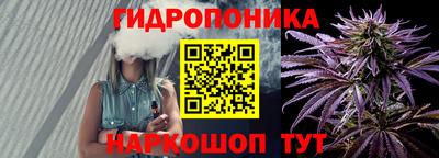 дмт Кингисепп