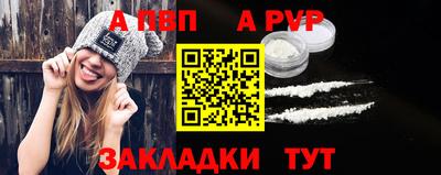 дмт Кингисепп