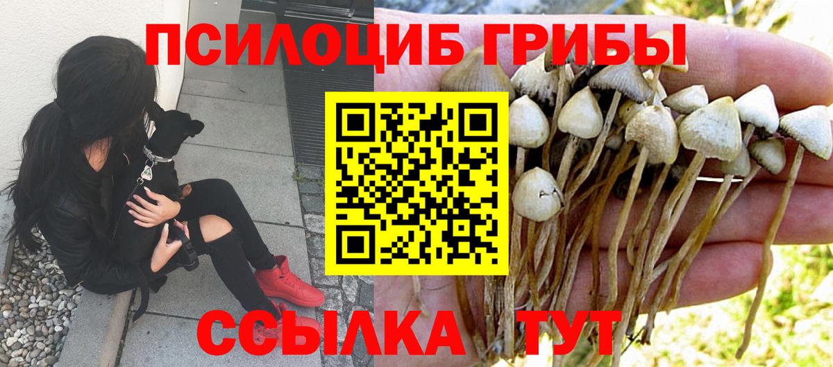 Галлюциногенные грибы Magic Shrooms  Псилоцибиновые грибы Cubensis  купить наркоту  Вход с VPN  Костомукша 