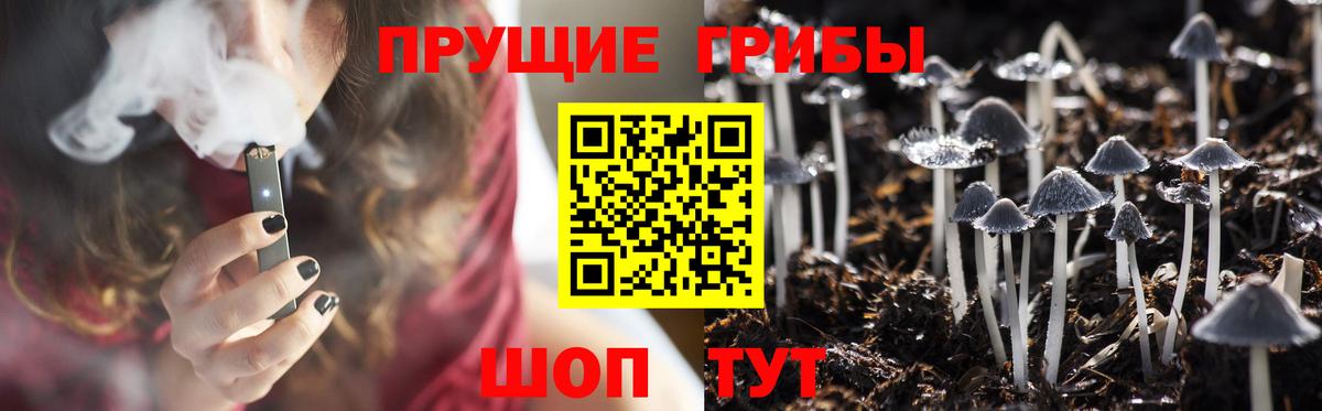 Псилоцибиновые грибы Psilocybine cubensis Костомукша